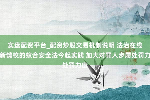 实盘配资平台_配资炒股交易机制说明 法治在线丨新雠校的蚁合安全法今起实践 加大对罪人步履处罚力度
