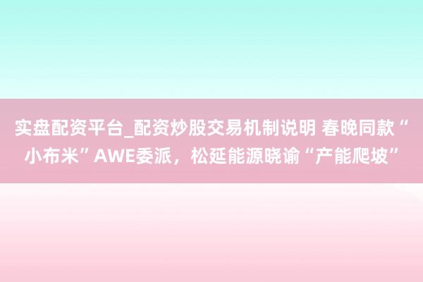 实盘配资平台_配资炒股交易机制说明 春晚同款“小布米”AWE委派，松延能源晓谕“产能爬坡”